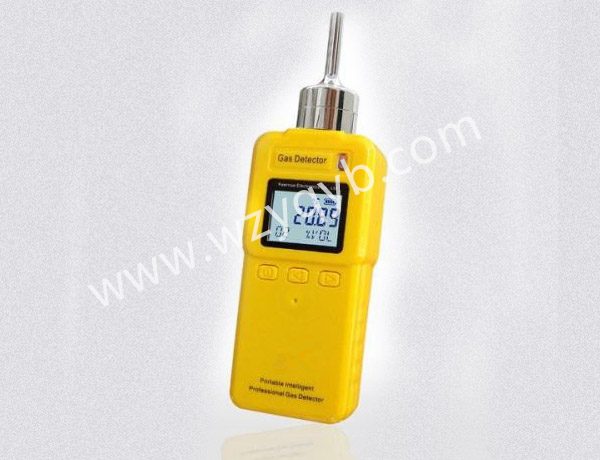 便攜式氣體檢測儀